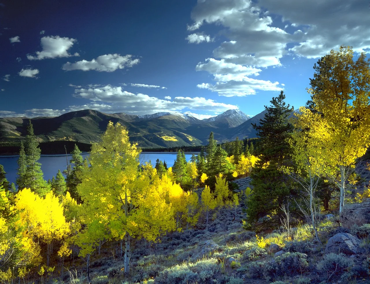 twin lakes, colorado, aspen, fall, autumn, colorado, colorado, colorado, colorado, colorado, aspen. Aspen celebrity wedding record: reading a Colorado license