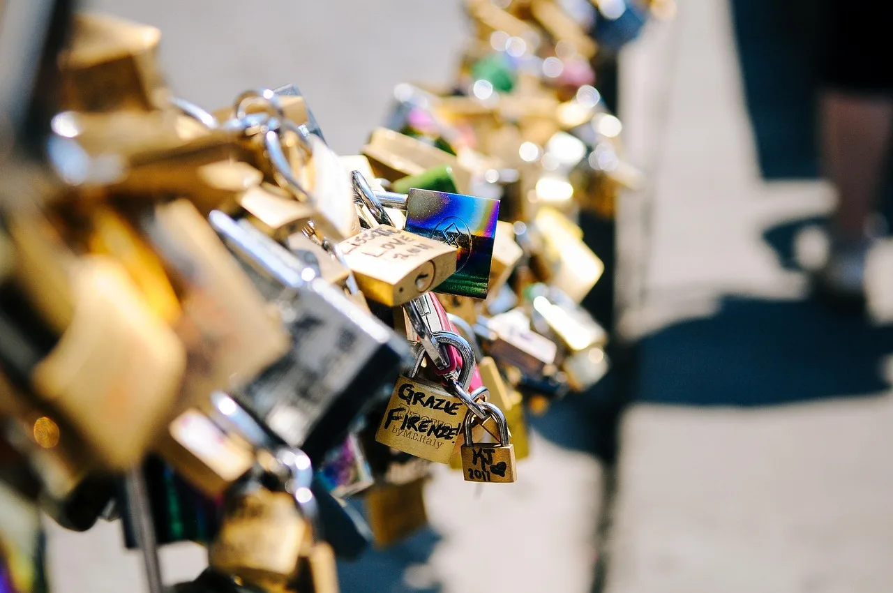love, padlocks, locks, love locks, locked, romance, chain, valentine, romantic, symbol, relationship, couple, love, locks, romance, valentine, relationship, relationship, relationship, relationship, relationship, couple. Relationship Dates History: A Step-by-Step Procedure for Tracing Citation Chains